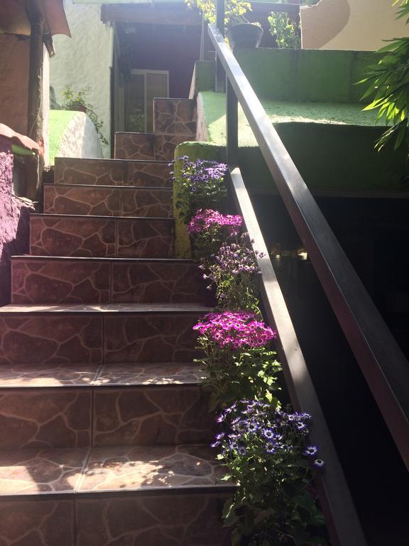 Mi Aldea Holistica Mexico City Exterior photo