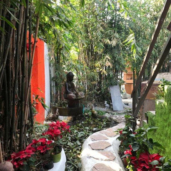 Mi Aldea Holistica Mexico City Exterior photo