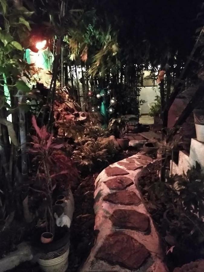 Mi Aldea Holistica Mexico City Exterior photo
